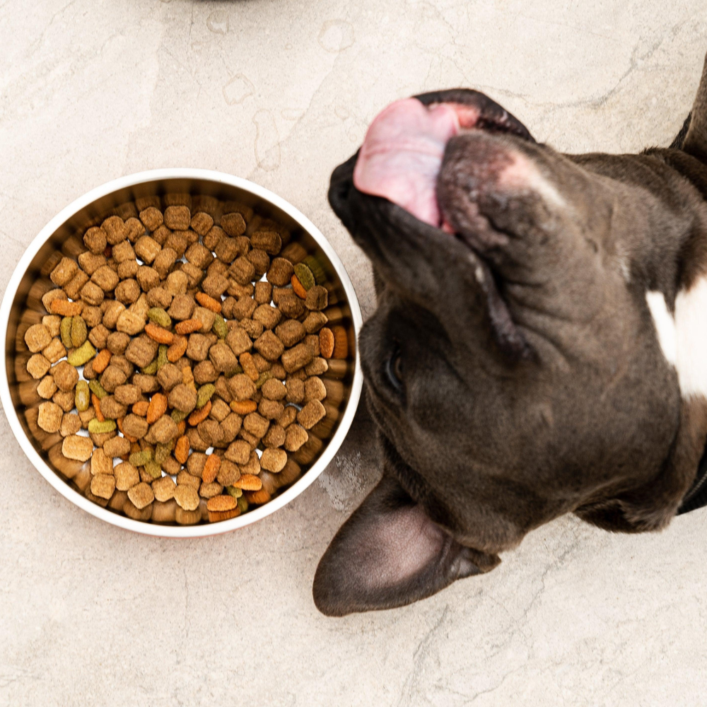 Hydrate - Bowl Negro - 946 ml