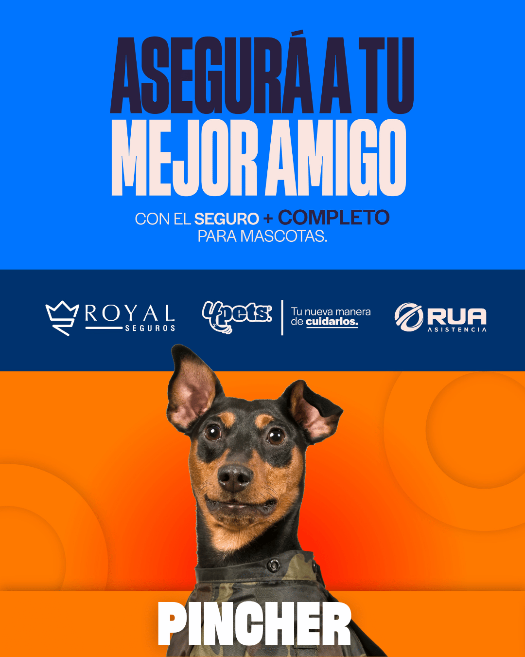 Categoría 1 C - Anual (Perro) - Pincher