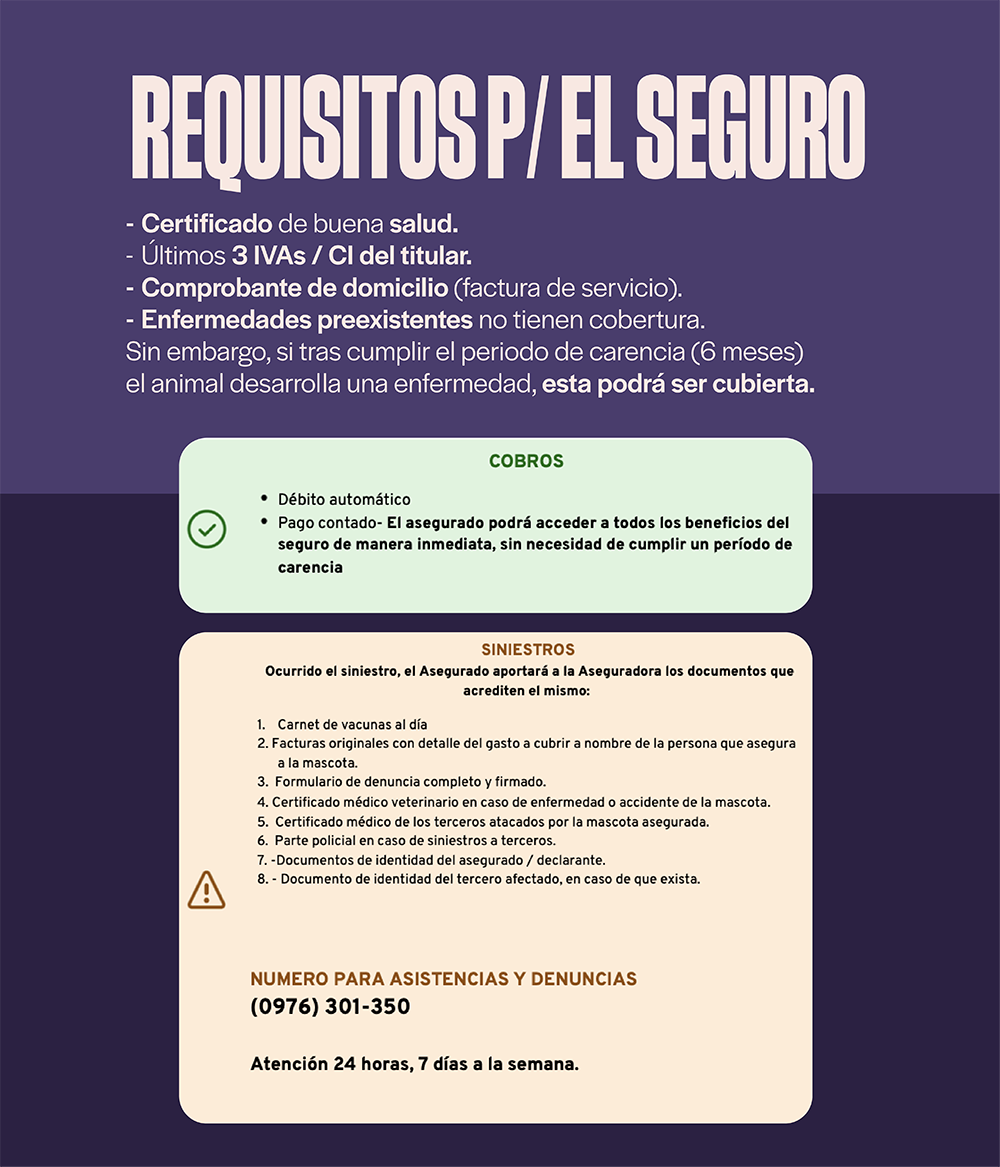 Categoría 3 A - Anual (Perro)