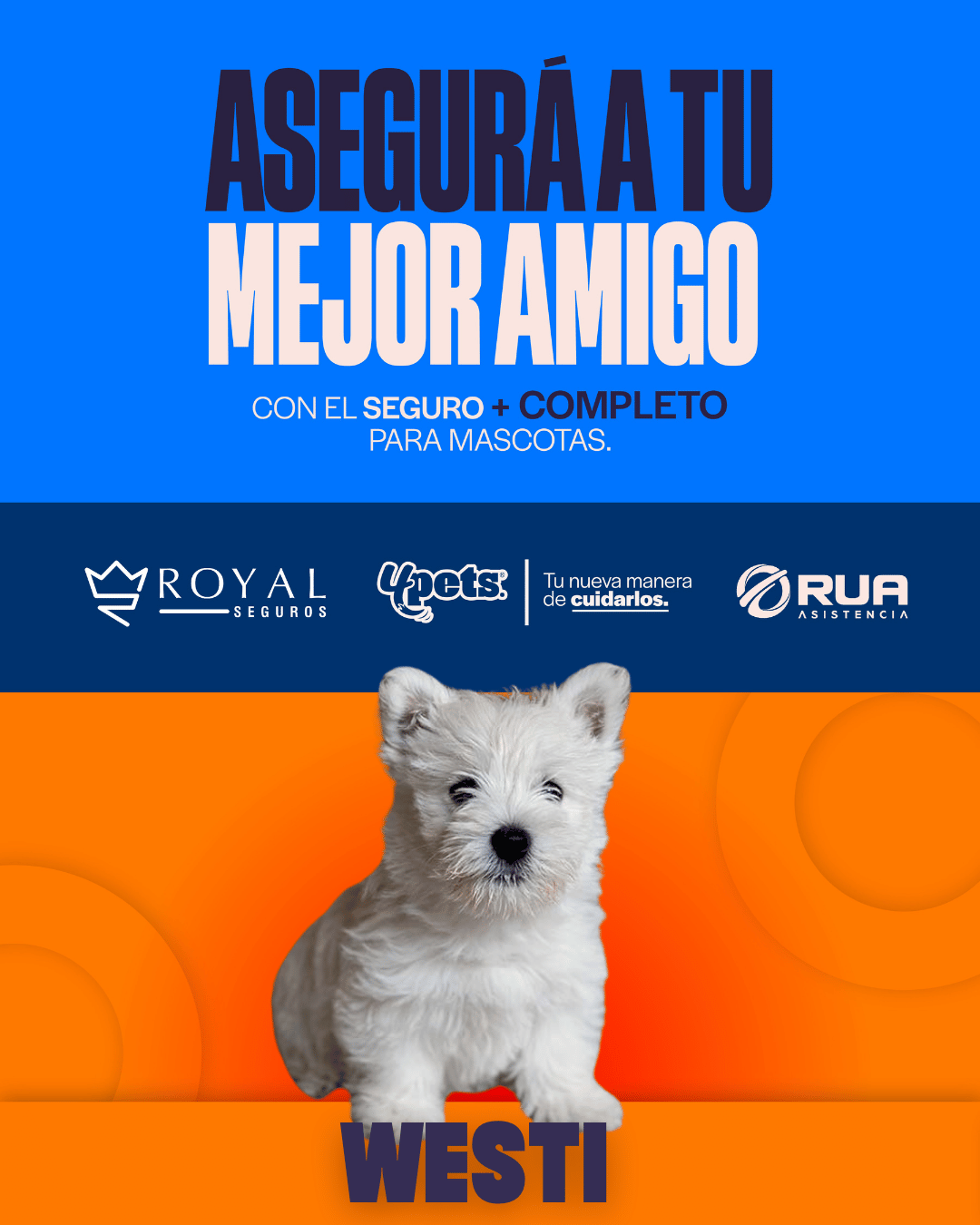Categoría 2 A - Anual (Perro) - Westi