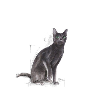 Royal Canin - Gatos Adultos Castrados