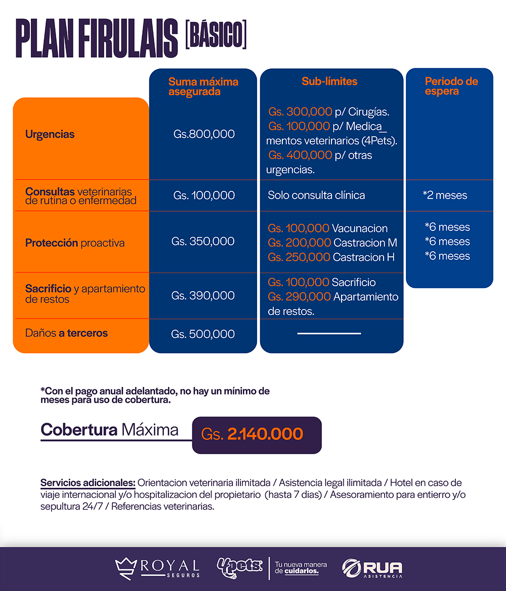 Categoría 1 A - Anual (Perro) - Labrador Retriever