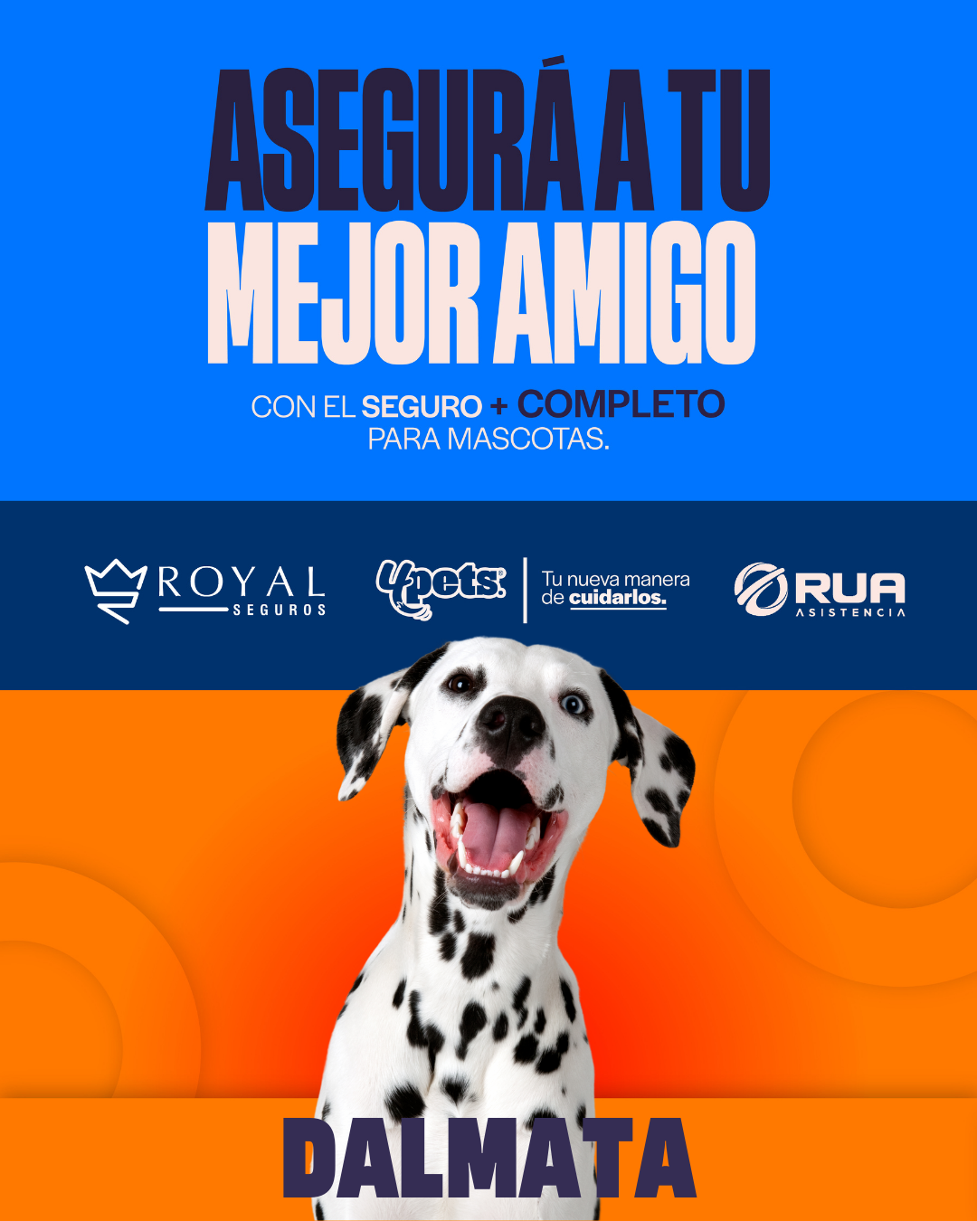 Categoría 2 C - Anual (Perro) - Dalmata