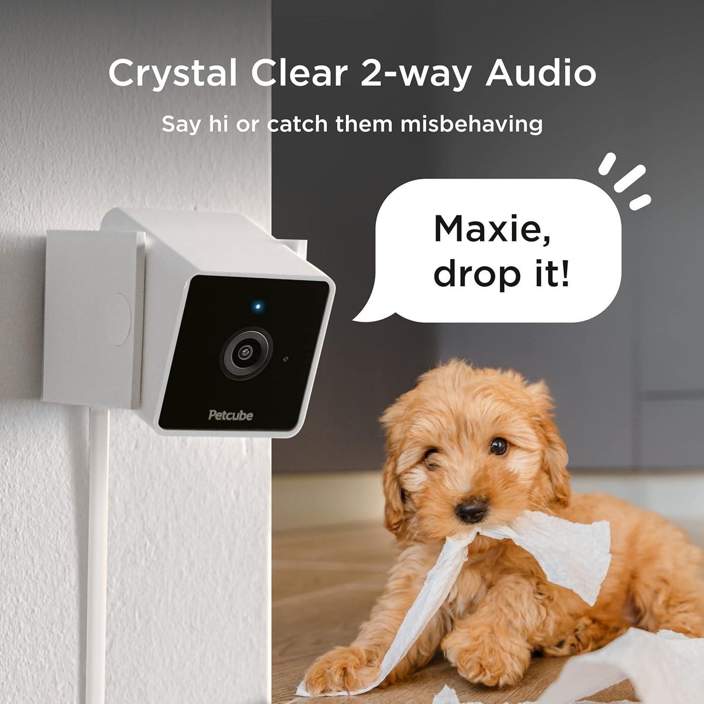 Cámara de seguridad para mascotas con Wi-Fi - Compatible con Alexa