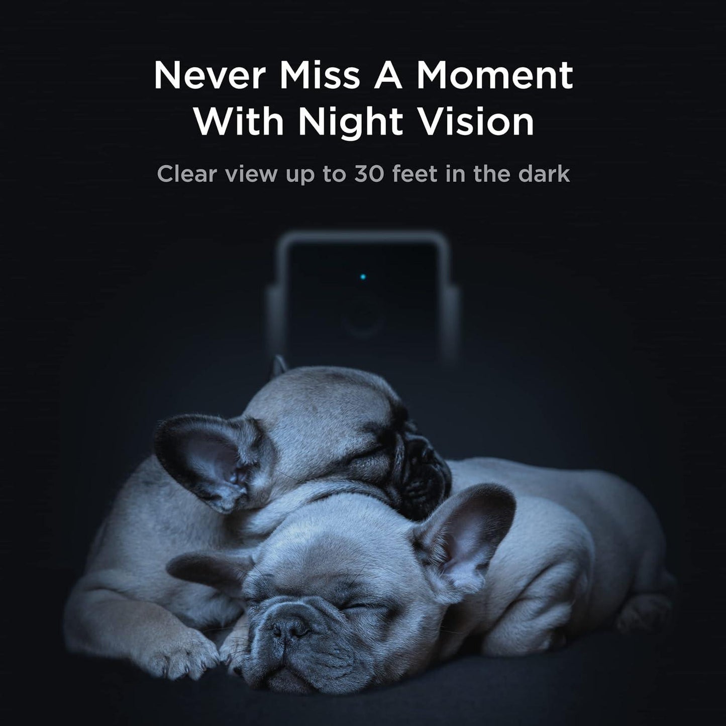 Cámara de seguridad para mascotas con Wi-Fi - Compatible con Alexa