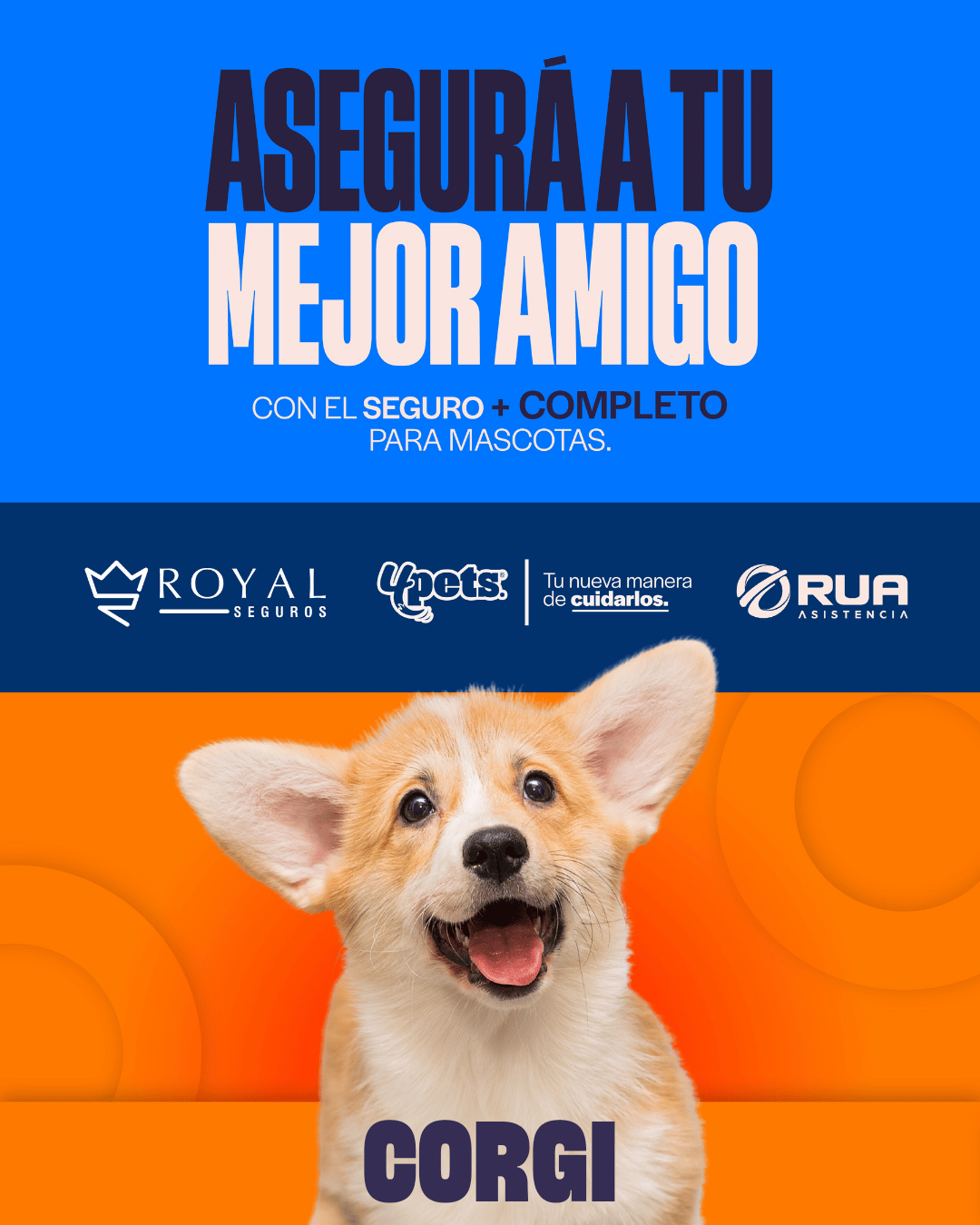 Categoría 2 A - Anual (Perro) - Corgi