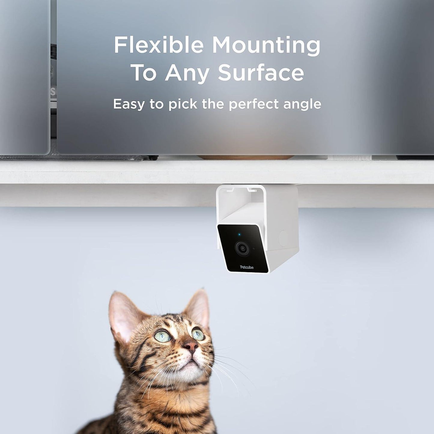 Cámara de seguridad para mascotas con Wi-Fi - Compatible con Alexa