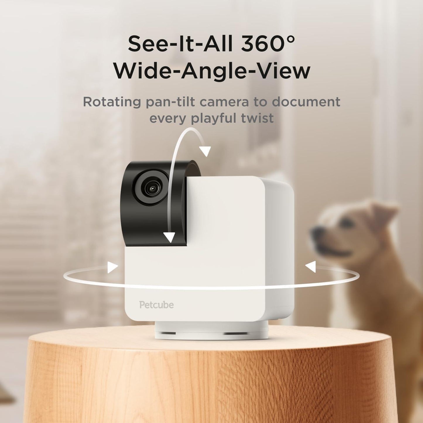 Cámara 360 interactiva WiFi para mascotas - Compatible con Alexa