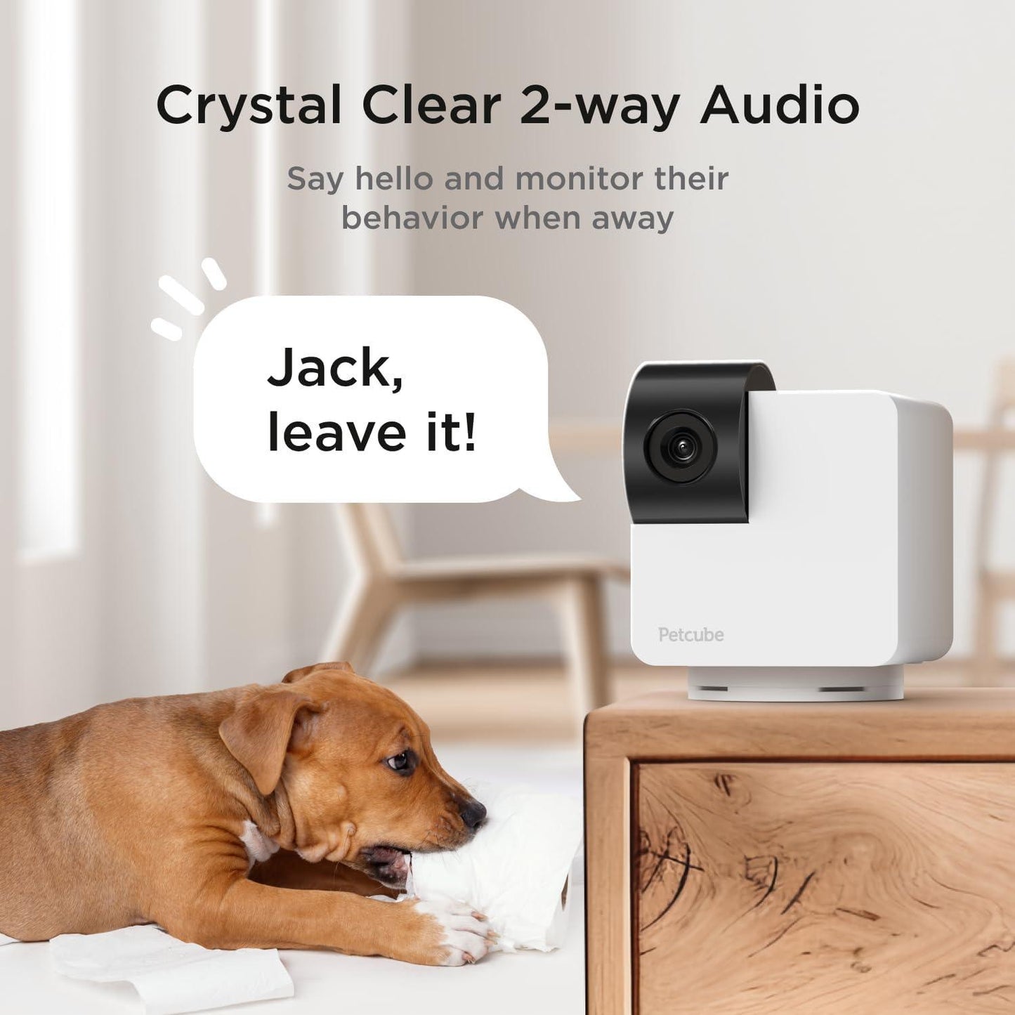 Cámara 360 interactiva WiFi para mascotas - Compatible con Alexa