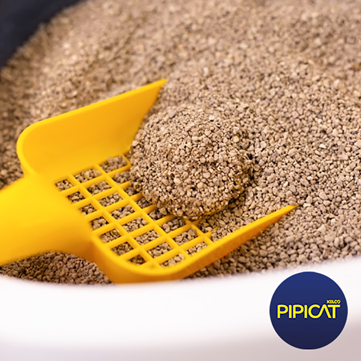 Pipicat - Multicat