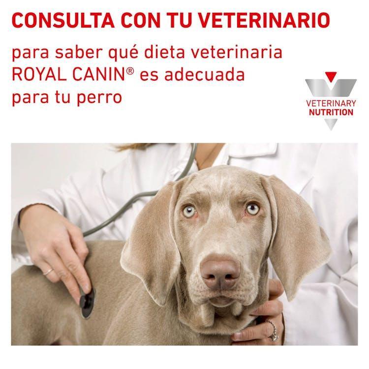 Royal Canin - Perros Adultos Pequeños - Cuidado Urinario