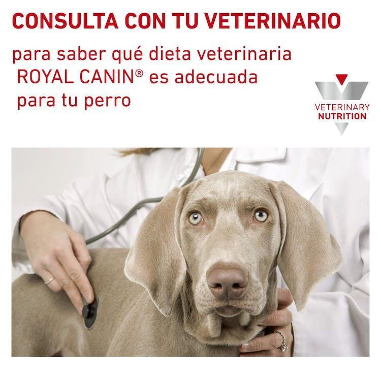 Royal Canin - Perros Adultos - Hipoalergénico - Lata