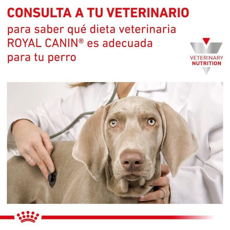 Royal Canin - Perros Adultos - Cuidado Hepático