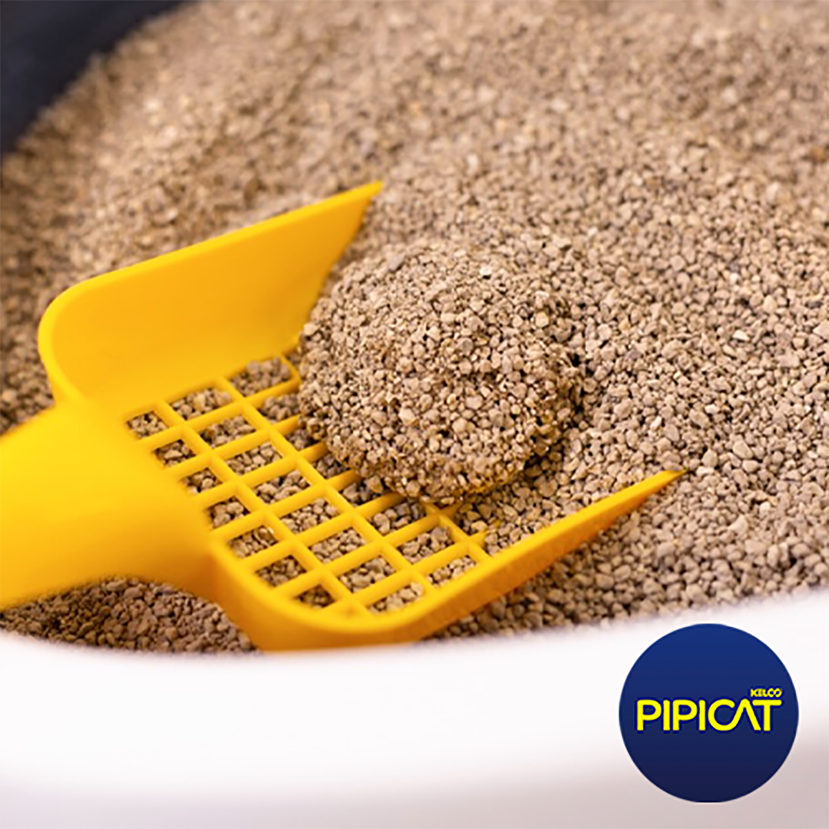 Pipicat - Classic