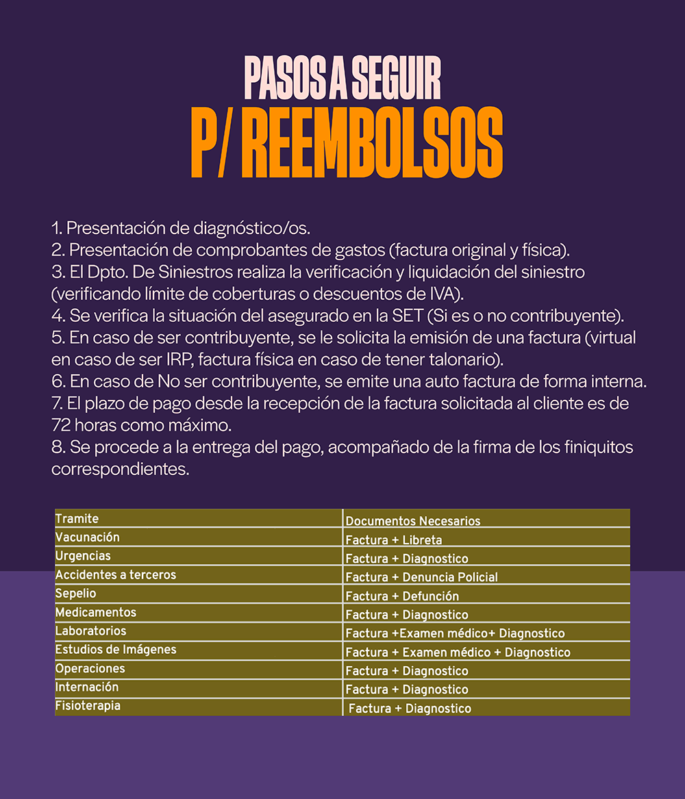 Categoría 2 C - Anual (Gato) - Abisinio