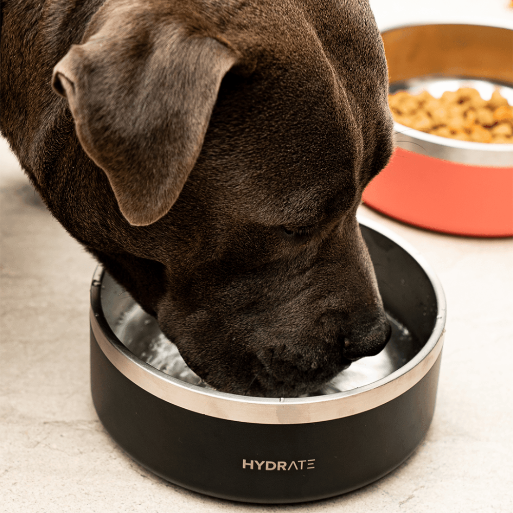 Hydrate - Bowl Negro - 946 ml