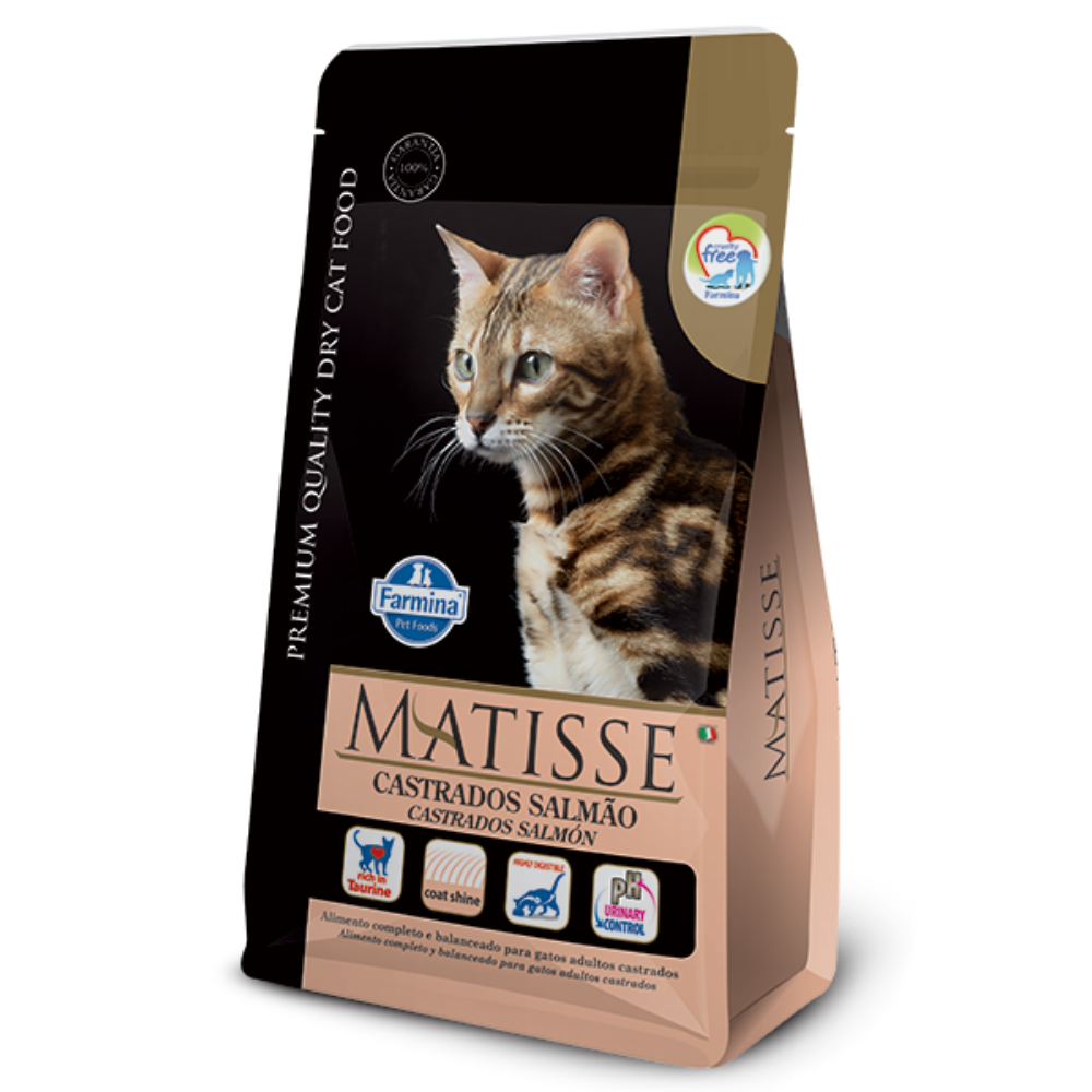 Matisse - Gatos Castrados - Salmón & Arroz