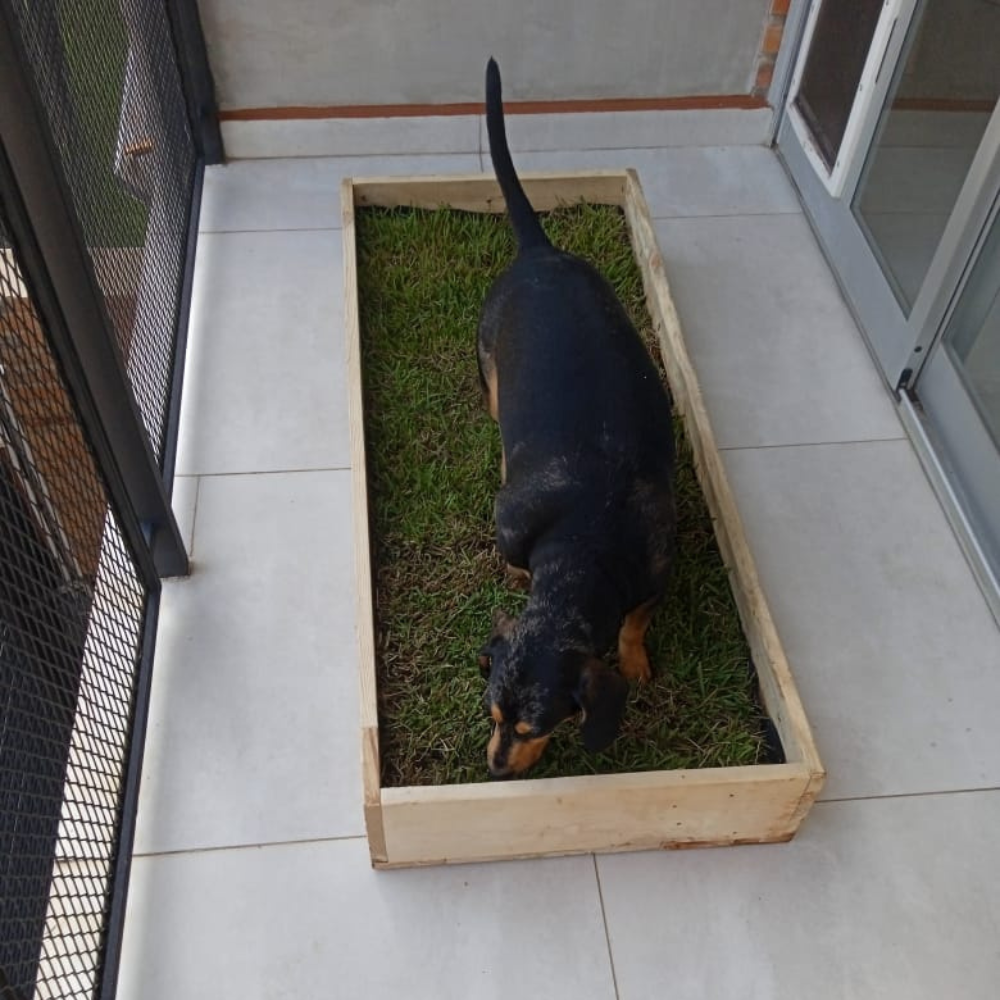 Ecopis - Box XL - 50 x 120 cm