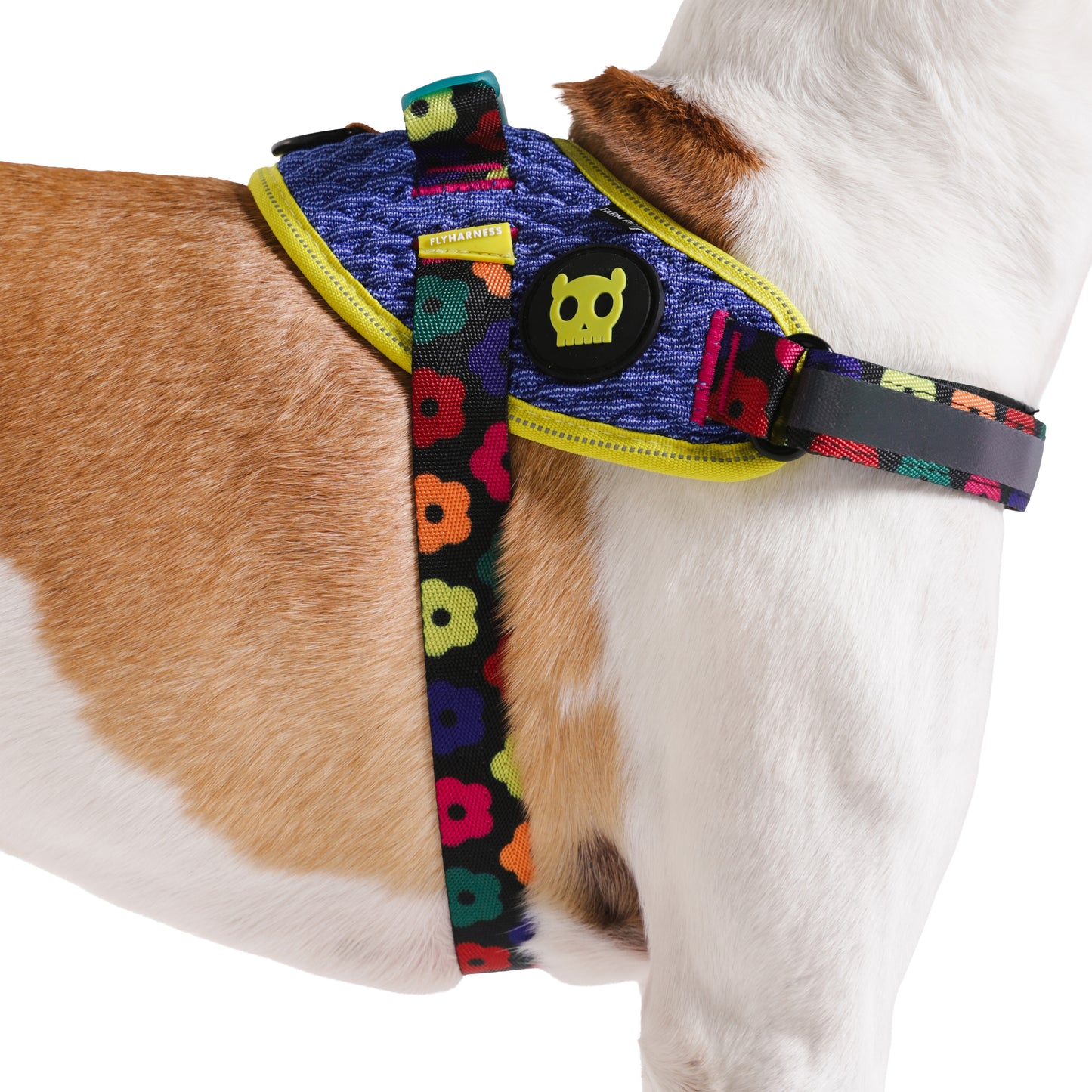 Zeedog - Farm - Flyharness - Samba