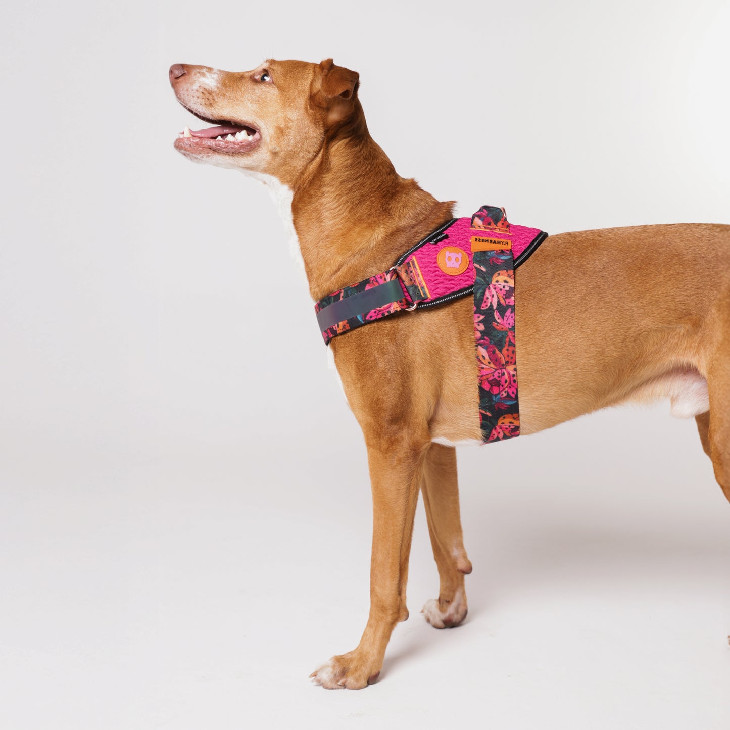 Zeedog - Farm - Flyharness - Selva