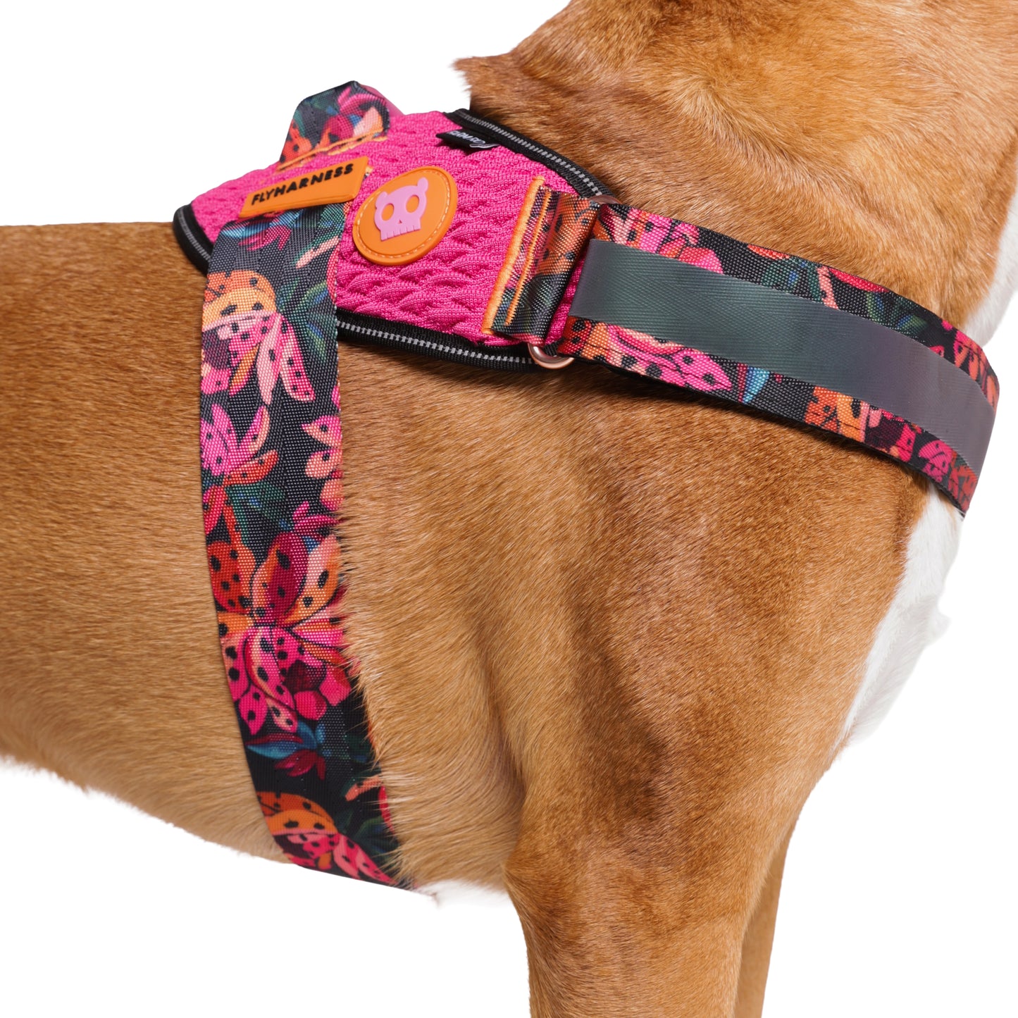 Zeedog - Farm - Flyharness - Selva