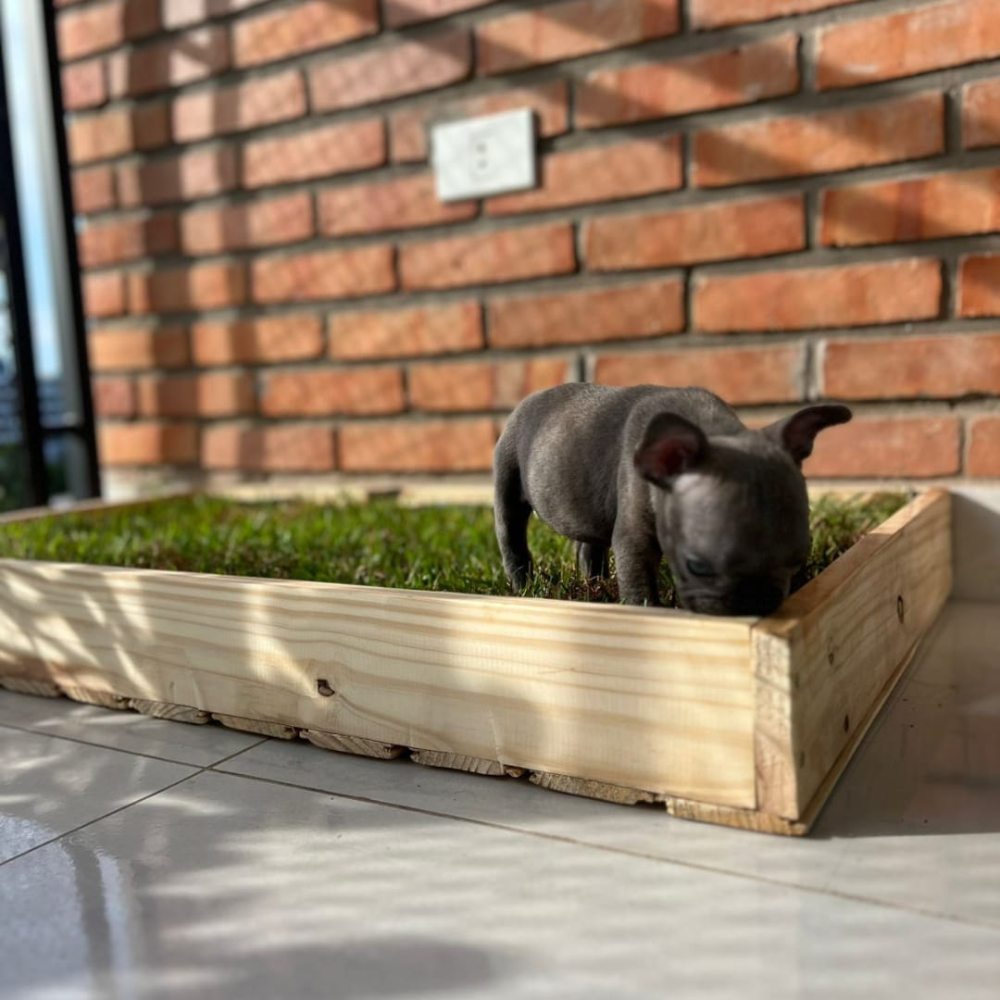 Ecopis - Box L - 50 x 90 cm
