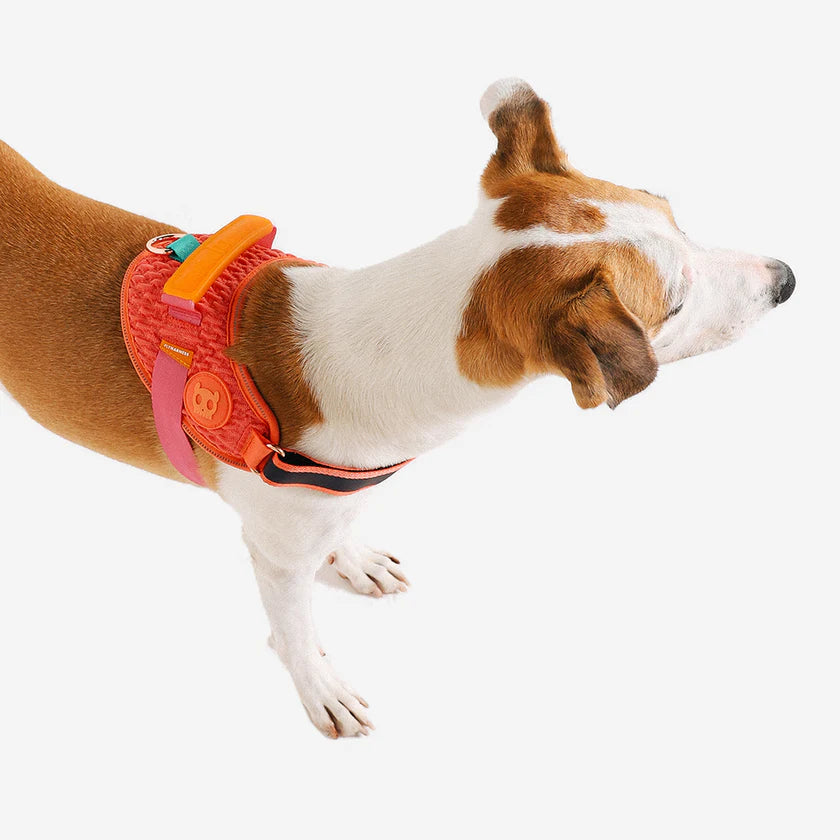 Zeedog - Perros - Zeedog - Perros Pechera Fly Harness - Gazzelle