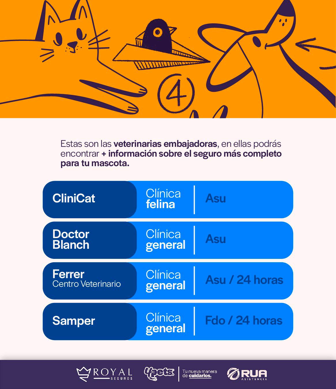Categoría 2 A - Anual (Perro) - Maltés