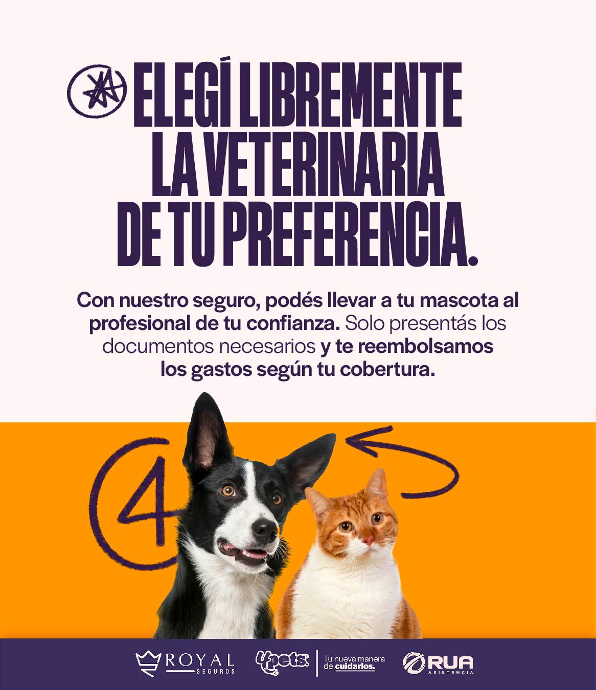 Categoría 2 A - Anual (Perro) - Maltés