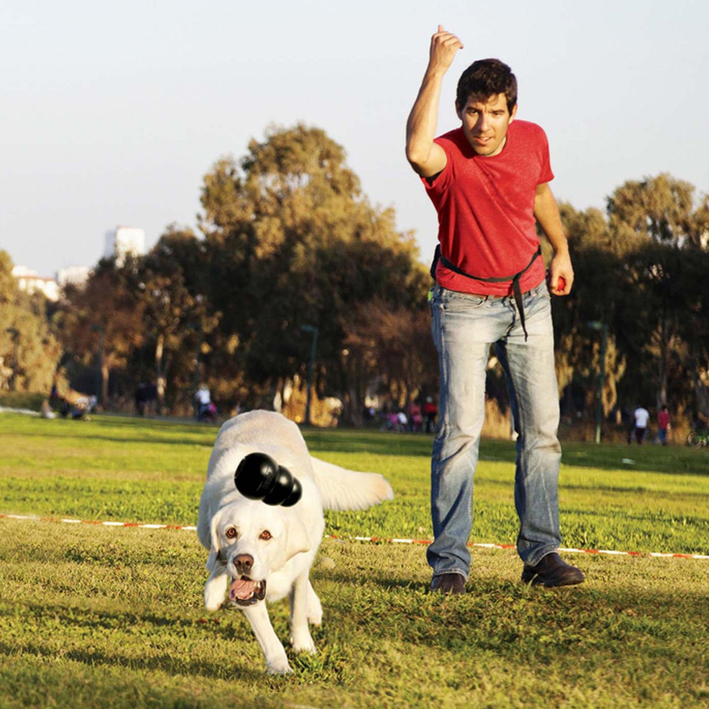 Kong - Perros Adultos Extreme