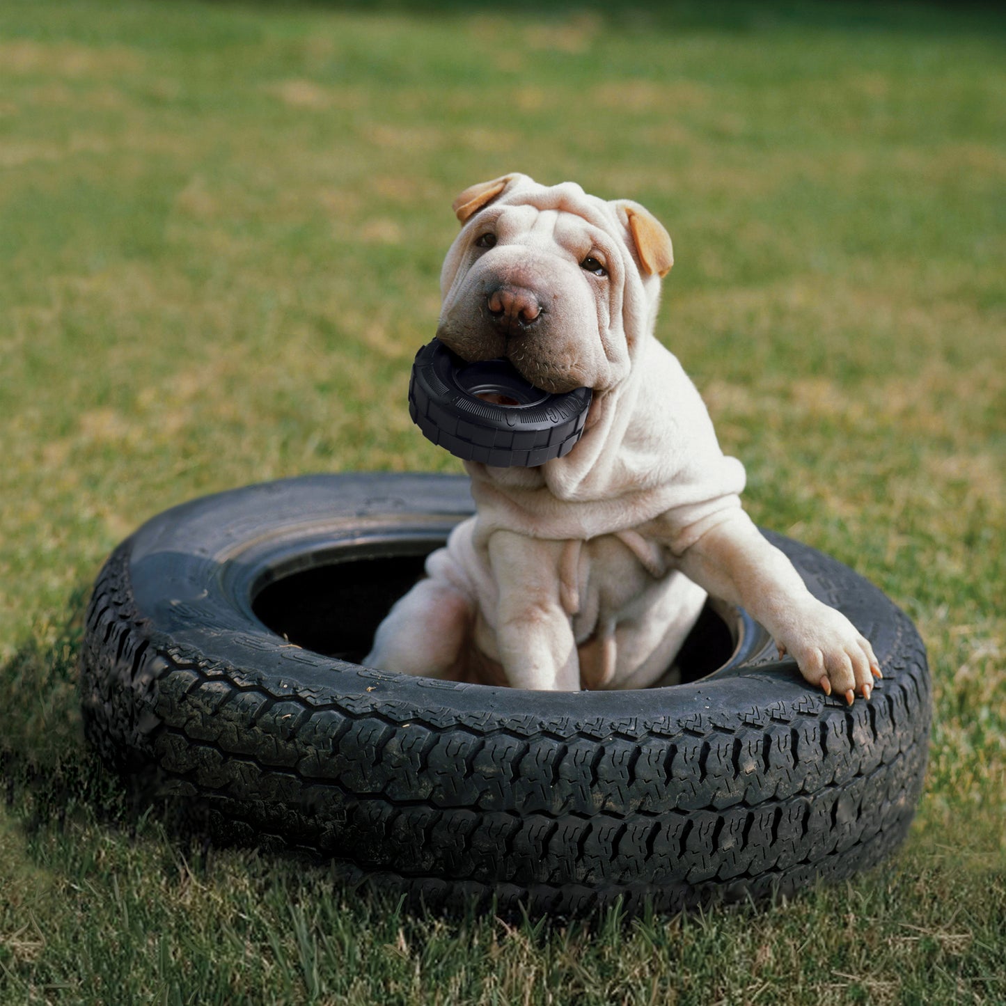 Kong - Extreme Tires