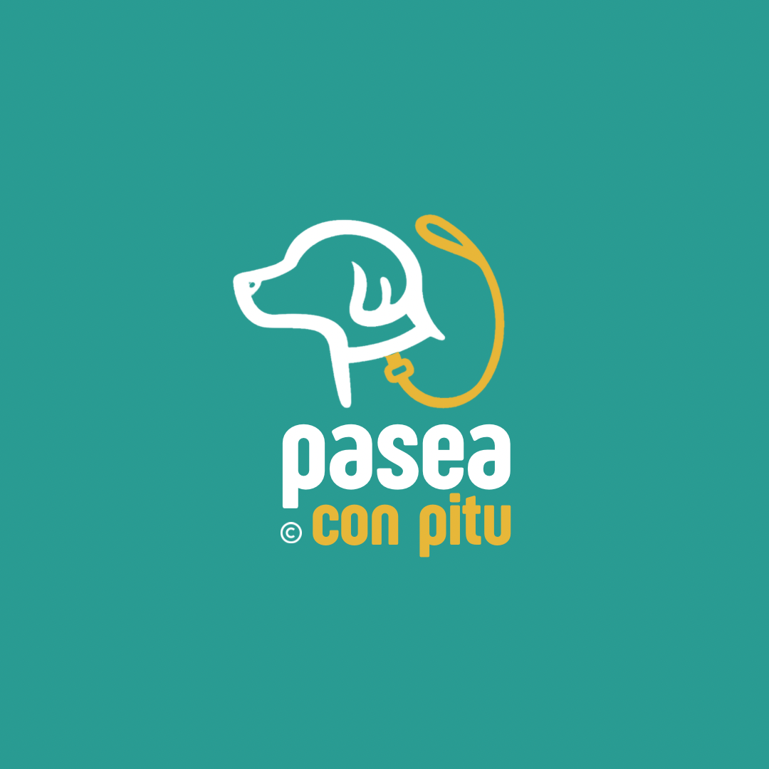 Pasea Con Pitu - Pet Sitter a Domicilio (Asunción, Lambaré, Luque y Fdo de la Mora). Visitas sobre agendamiento