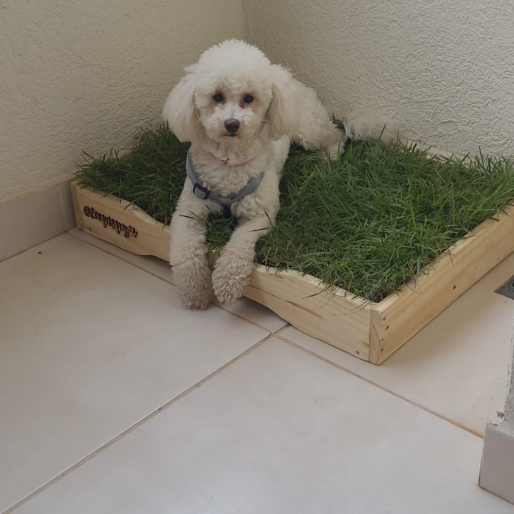 Ecopis - Box M - 50 x 70 cm