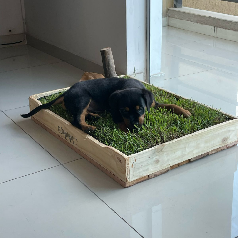 Ecopis - Box M - 50 x 70 cm