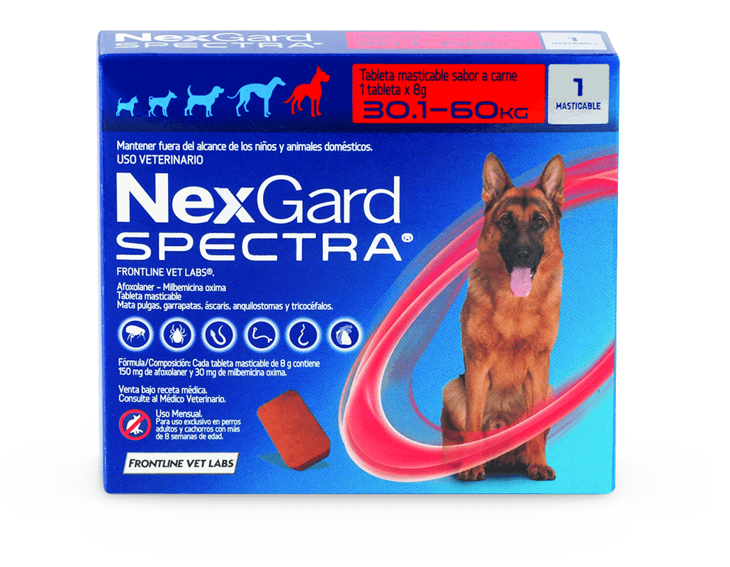 Protección completa para tu mascota con NexGard Spectra - 4Pets