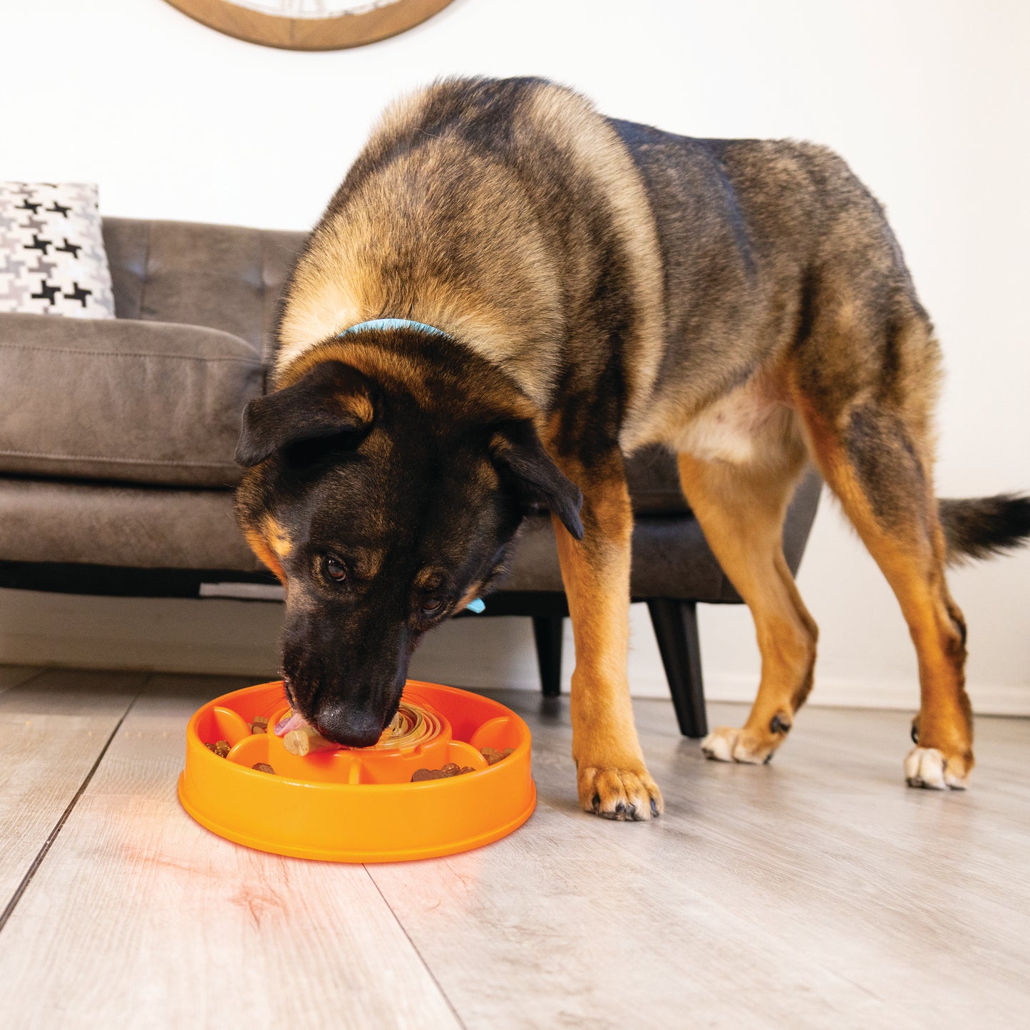 Kong - Perros Licks Mealtime
