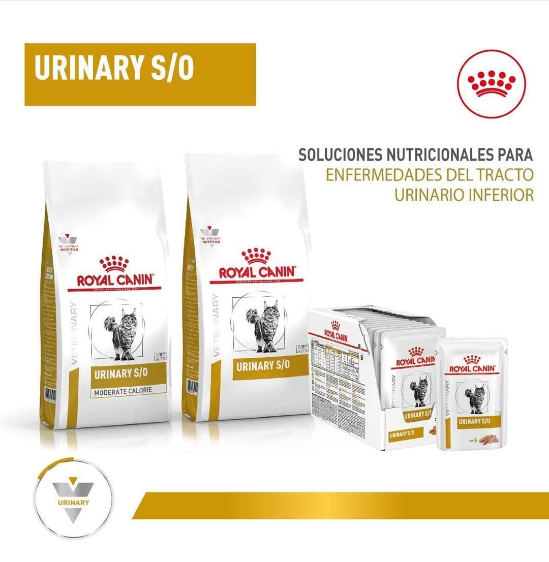 Royal Canin - Gatos - Cuidado Urinario S/O