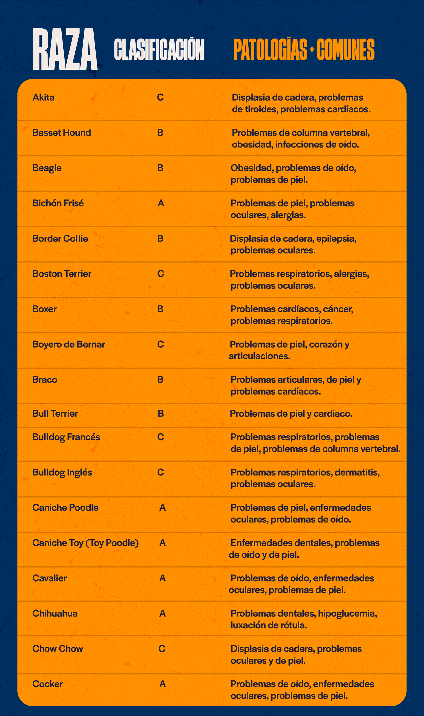 Categoría 3 C - Anual (Perro) - Pointer