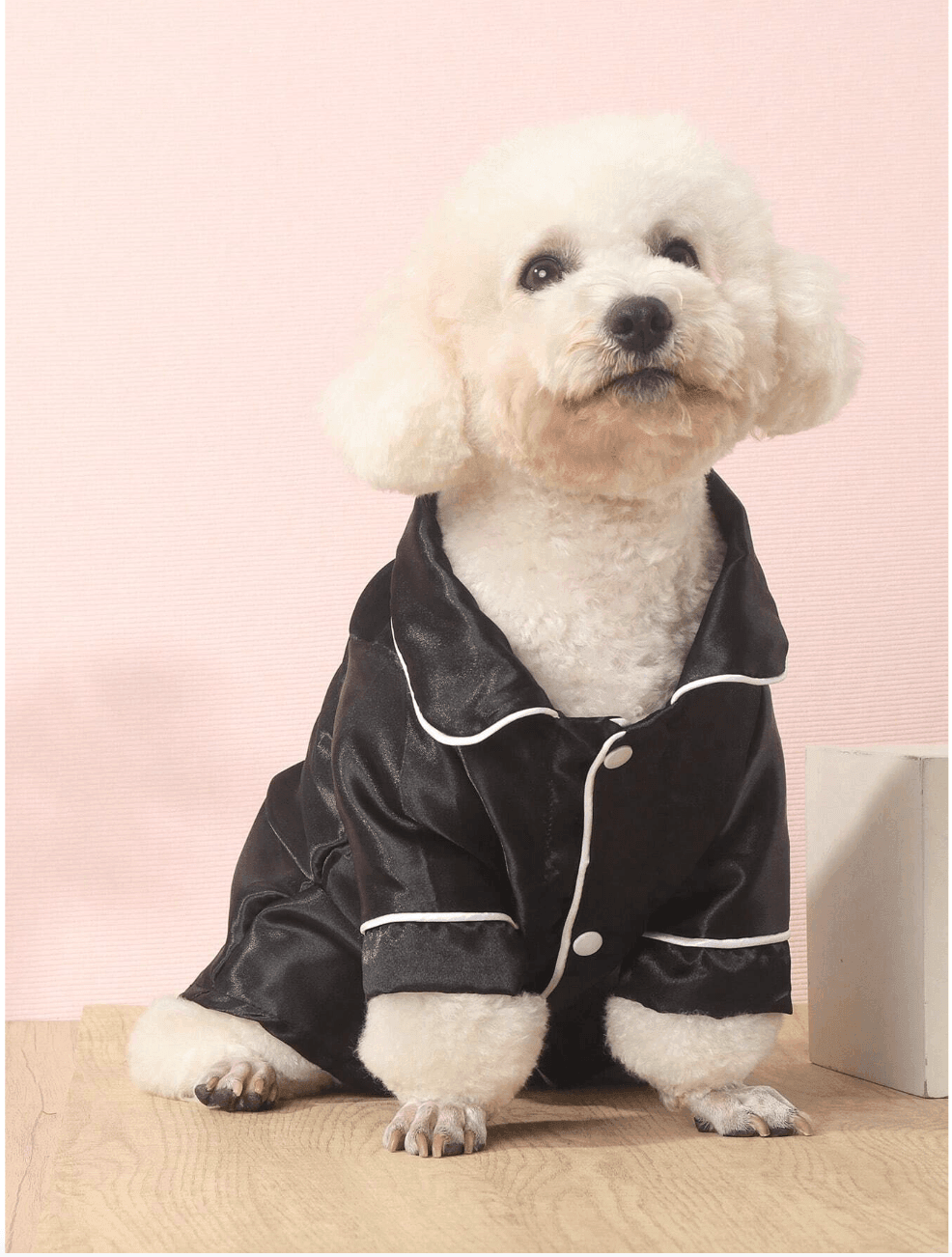 Ropa para Perros | Moda y Comodidad en 4Pets