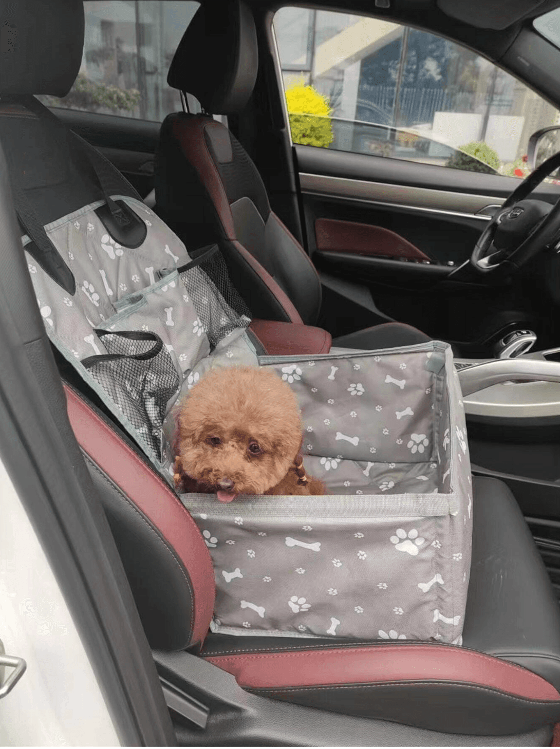 Silla para Autos (Mascotas)