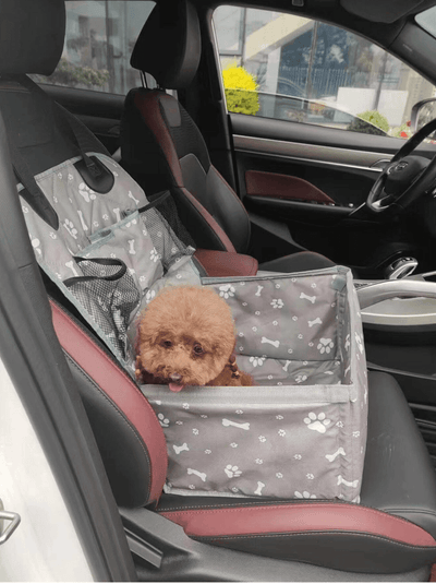 Silla para Autos (Mascotas)