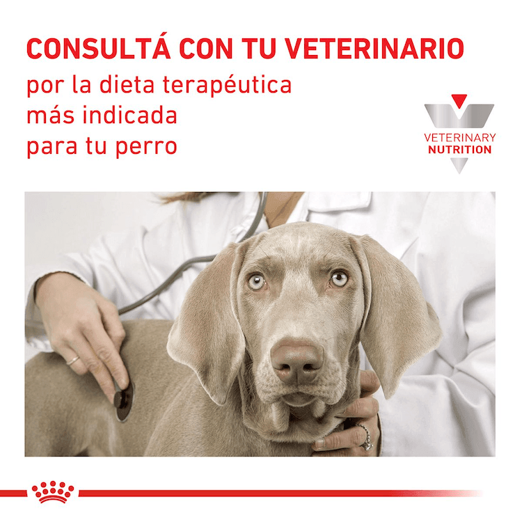 Royal Canin - Perros Adultos - Gastrointestinal