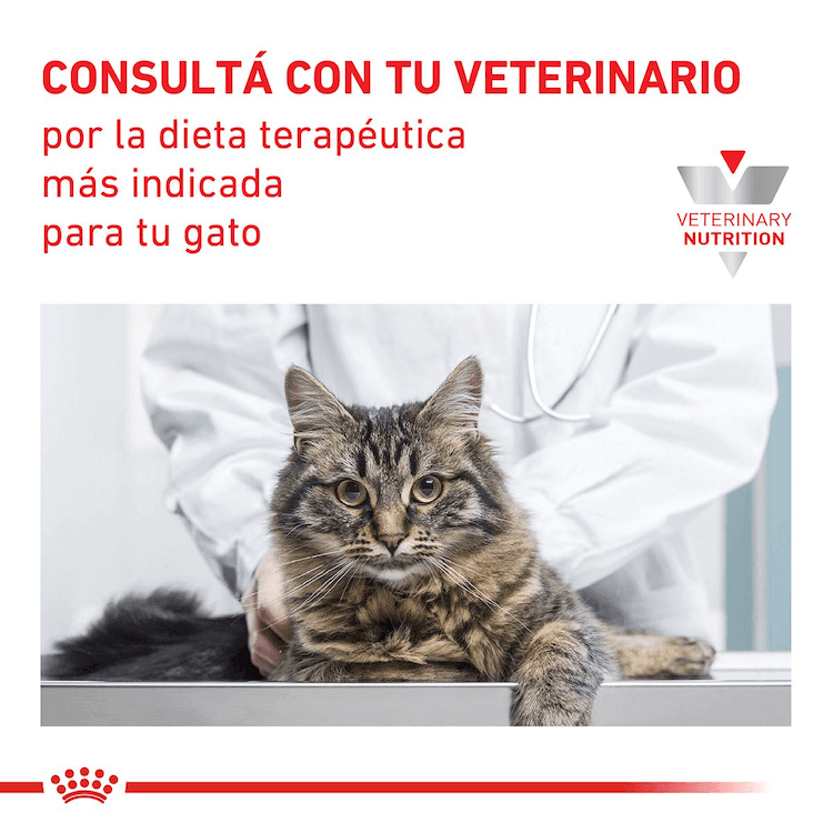Royal Canin - Gatos Adultos - Gastrointestinal - Pouch
