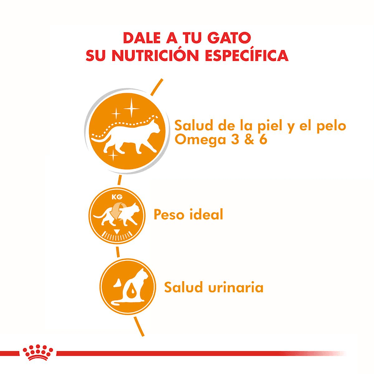 Royal Canin - Gatos Adultos Intense Beauty - Pouch