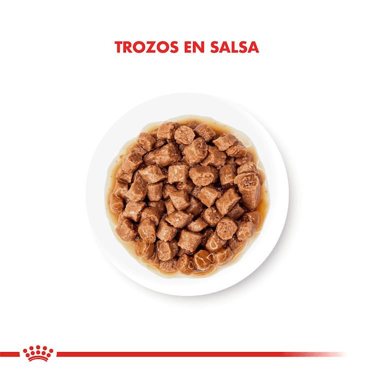 Royal Canin - Gatitos - Pouch