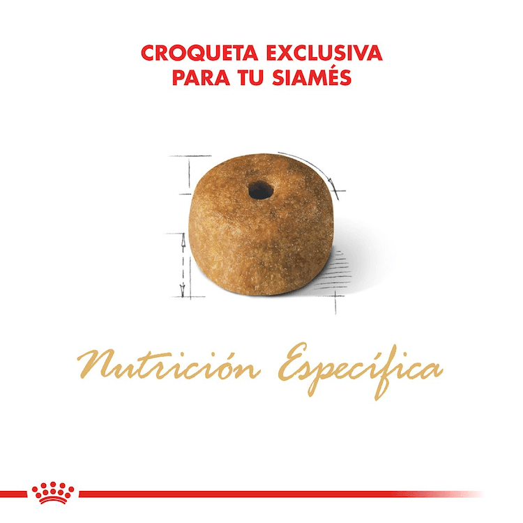 Royal Canin - Gatos Adultos Siamés