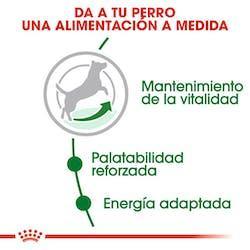 Royal Canin - Perros Adultos +8 Pequeños