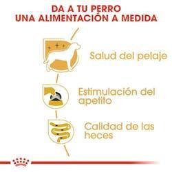 Royal Canin - Perros Adultos Yorkshire Paté