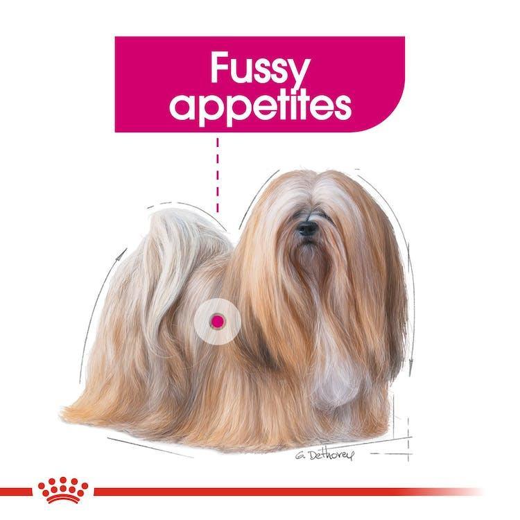 Royal Canin - Perros Adultos Pequeños Exigent
