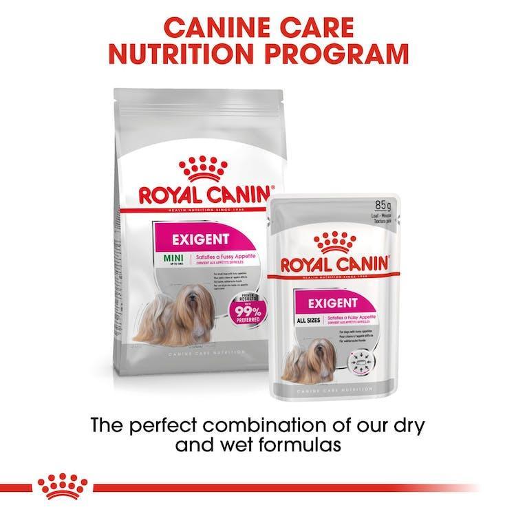 Royal Canin - Perros Adultos Pequeños Exigent